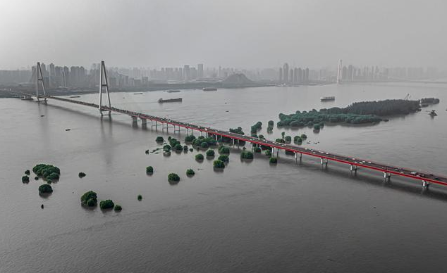 暴雨过后，蚊虫鼠害带来的问题影响