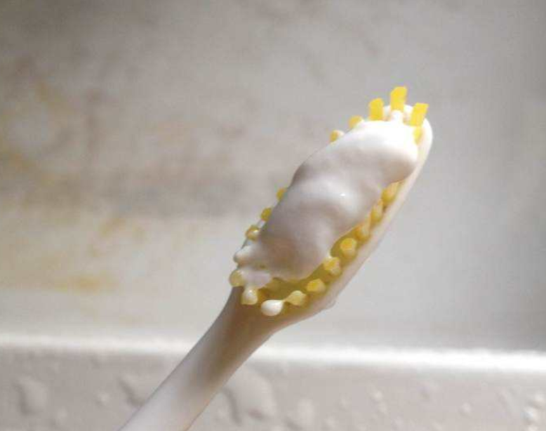 害虫尸体竟然被拿来做这个，你敢用吗